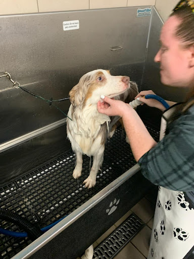 Pet Supply Store «Pet Supplies Plus», reviews and photos, 1937 FL-60, Valrico, FL 33594, USA