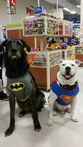 Pet Supply Store «PetSmart», reviews and photos, 3131 E Main St, Mohegan Lake, NY 10547, USA