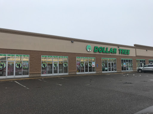 Dollar Store «Dollar Tree», reviews and photos, 11019 61st St NE #200, Albertville, MN 55301, USA