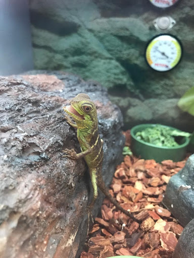 Pet Supply Store «Petco Animal Supplies», reviews and photos, 5975 20th St, Vero Beach, FL 32966, USA