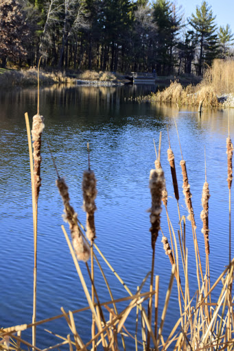 Park «Jester Park», reviews and photos, 11407 Northwest Jester Park Drive, Granger, IA 50109, USA