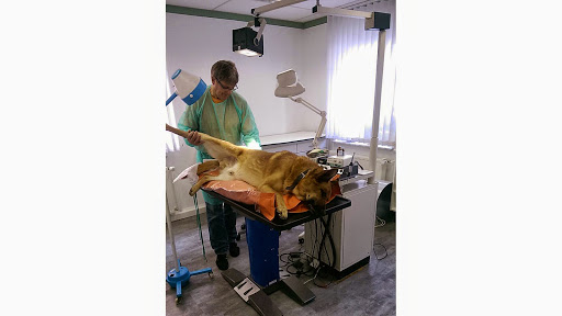 Ulrich Ulf Dipl.Med.Vet. Kleintierpraxis unter Freital-Hainsberg, 