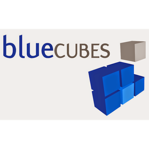 Blue Cubes - Website designer