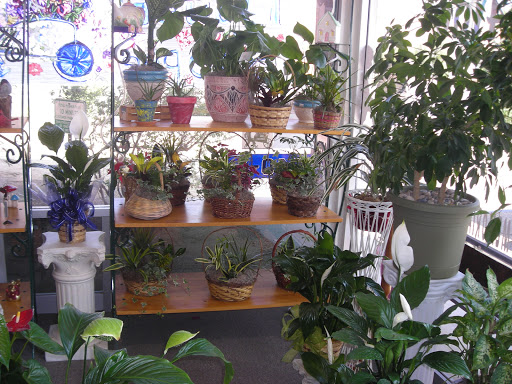 Florist «Petal Pusher Plus Lake Isabella Florist», reviews and photos, 6040 Lake Isabella Blvd a, Lake Isabella, CA 93240, USA