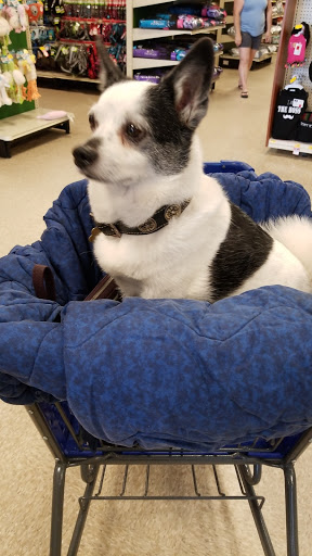 Pet Supply Store «PetSmart», reviews and photos, 2900 I-45, Conroe, TX 77303, USA