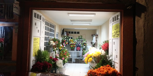 Love floreria – Amealco de Bonfil