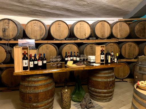 Winery De Angelis