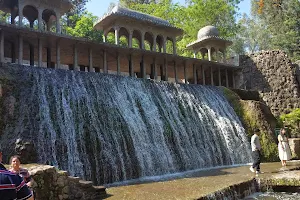 Rock Garden image