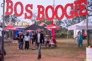 Bos Boogie Music Festival image