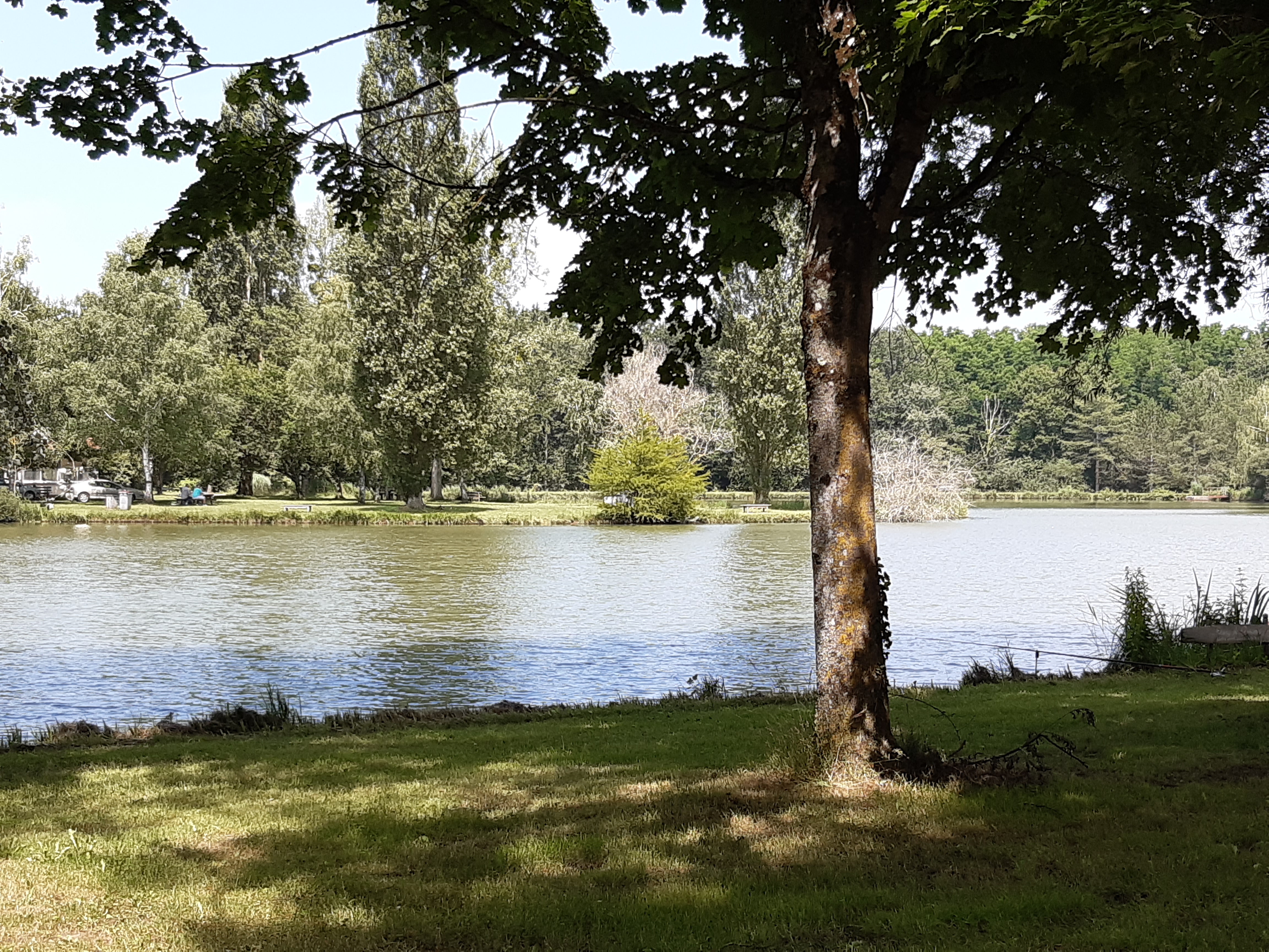 Photo n° 3 de l'avis de Jeanne.h fait le 17/07/2021 à 16:52