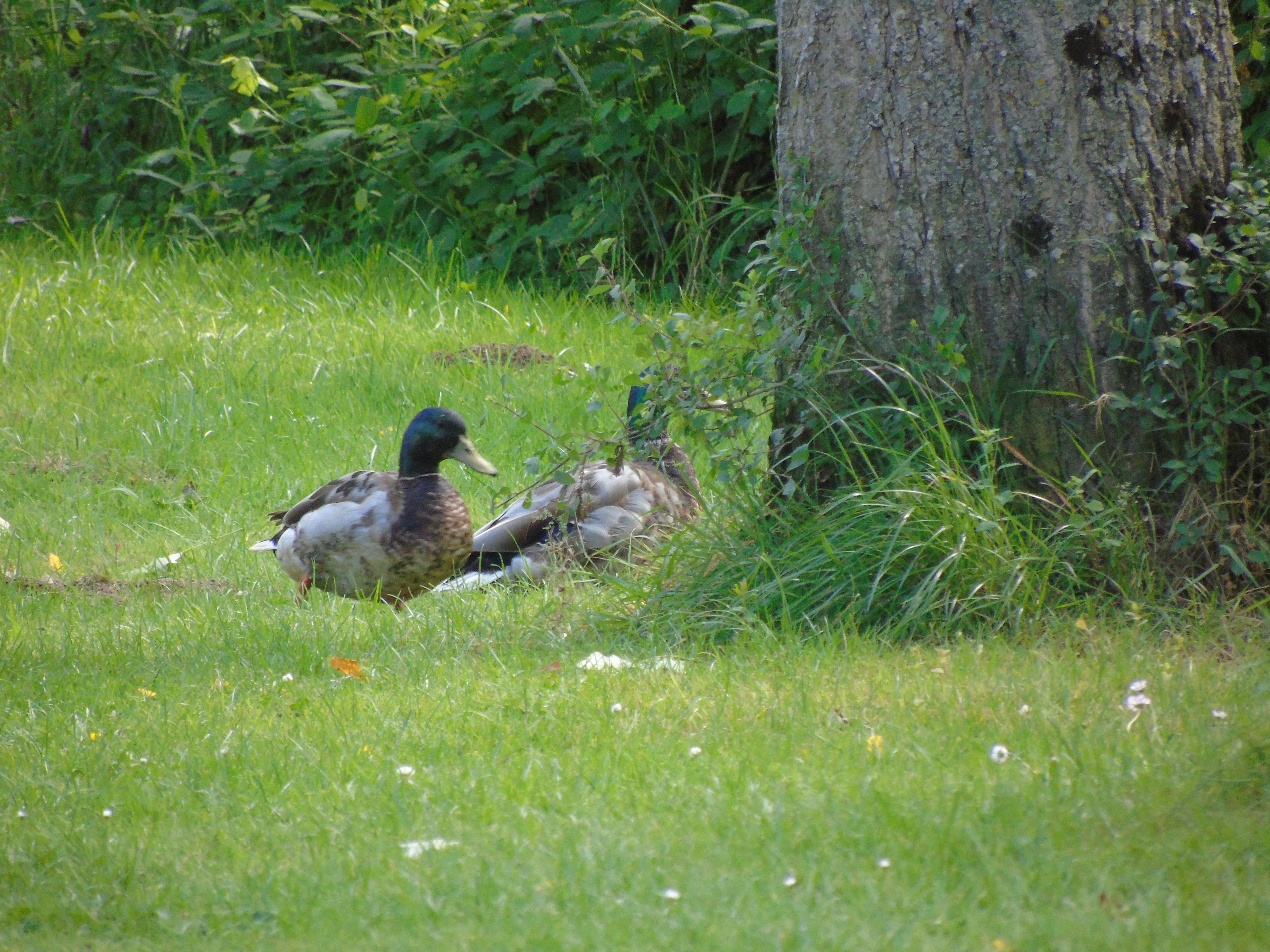 Photo n° 11 de l'avis de Ced.t fait le 06/06/2019 à 15:52