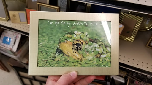 Thrift Store «Grace Centers of Hope Thrift Store», reviews and photos, 5919 Highland Rd, Waterford Twp, MI 48327, USA