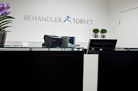 Behandlertorvet