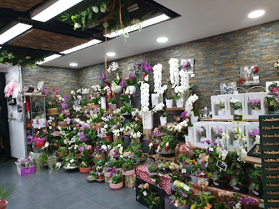 Fleuriste Goussainville Les Fleurs de L'Olympe à Goussainville