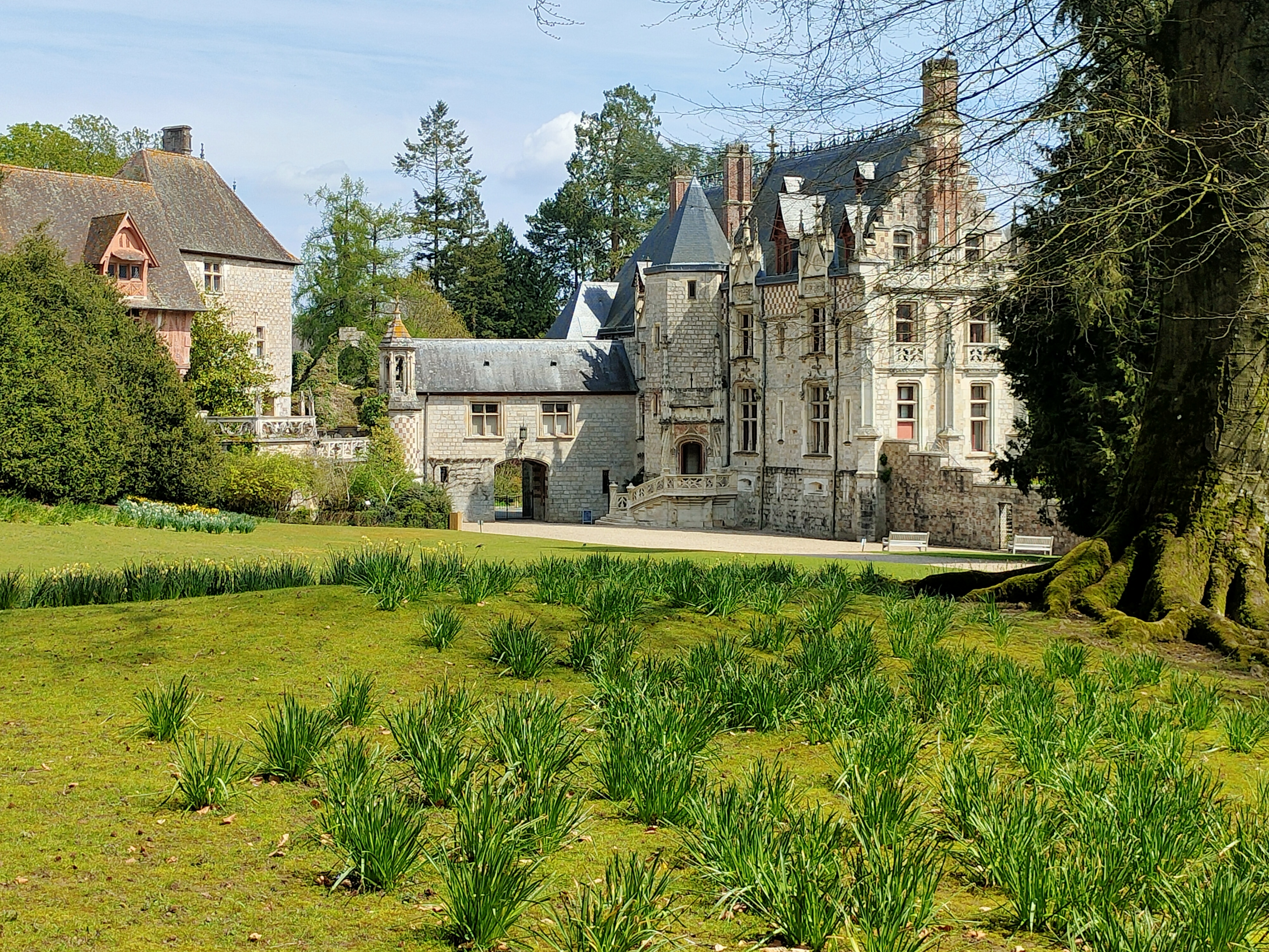 Photo n° 15 de l'avis de Eric.l fait le 16/04/2023 à 16:52