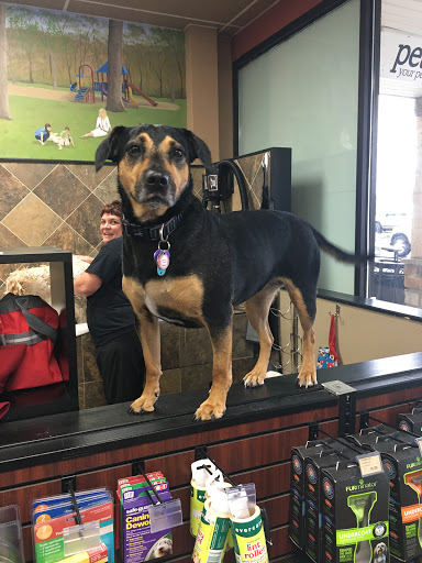 Pet Supply Store «Pet Valu», reviews and photos, 6220 Wilmington Pike D, Sugarcreek Township, OH 45459, USA