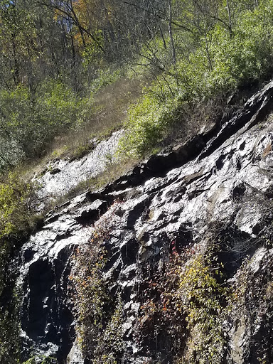 Tourist Attraction «French Broad Overlook», reviews and photos, 3938 Blue Ridge Pkwy, Arden, NC 28704, USA