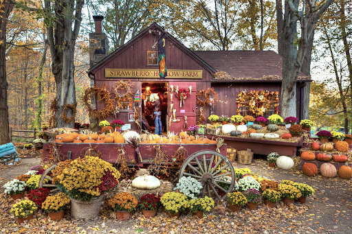 Strawberry Hollow Farm