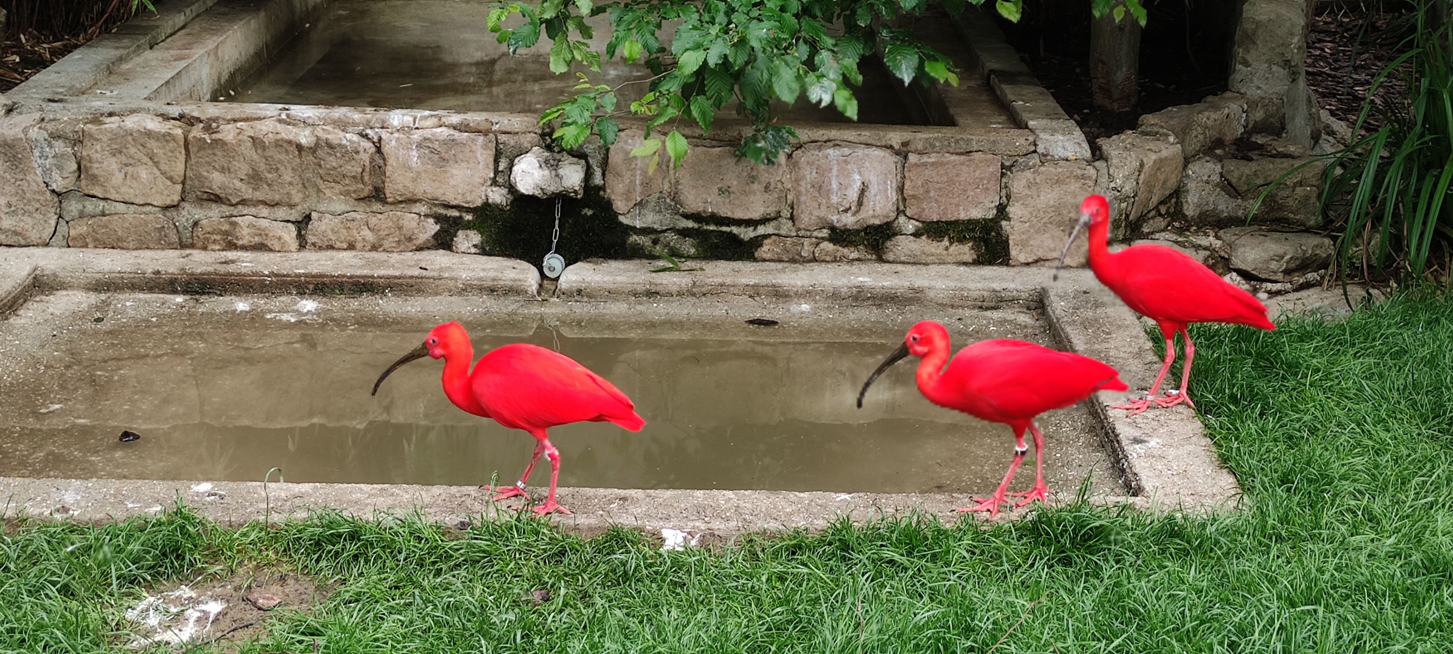 Photo n° 13 de l'avis de Christophe.h fait le 22/05/2022 à 06:02