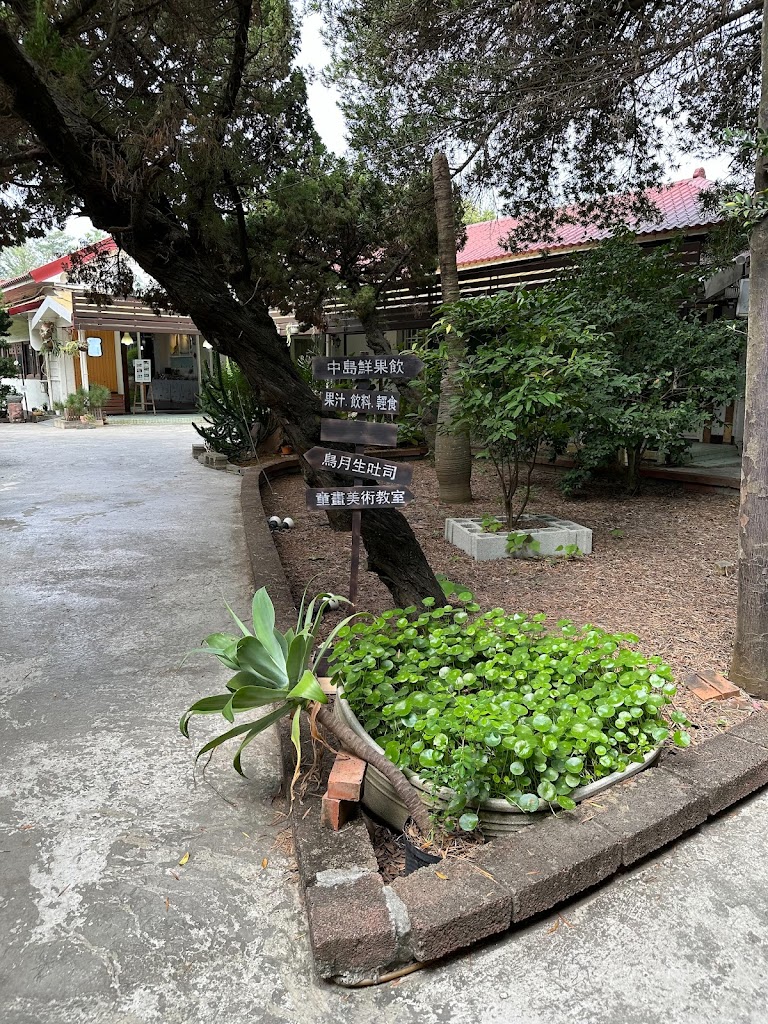 中島鮮果飲品【溪湖現打果汁】特色飲料｜下午茶推薦｜人氣飲料店｜好喝水果茶｜網美打卡下午茶 的照片