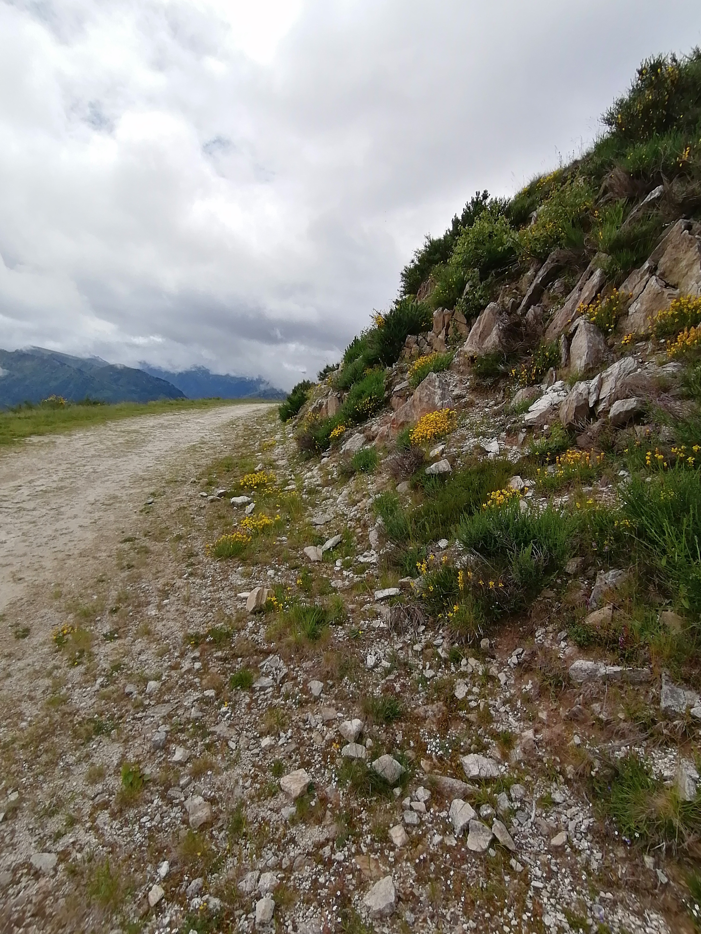 Photo n° 6 de l'avis de Magalie.a fait le 11/07/2023 à 15:05
