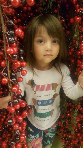 Craft Store «Hobby Lobby», reviews and photos, 200 S Randall Rd, Elgin, IL 60123, USA