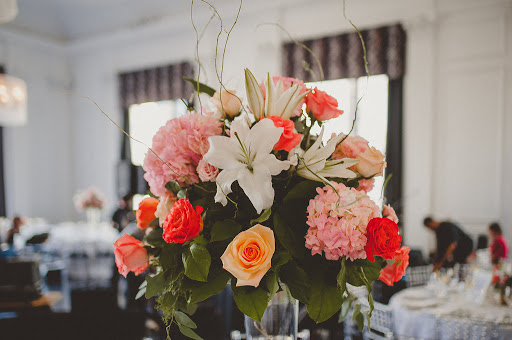 Florist «Moles Flower & Gift Shop», reviews and photos, 3000 Ridge Pike, Norristown, PA 19403, USA