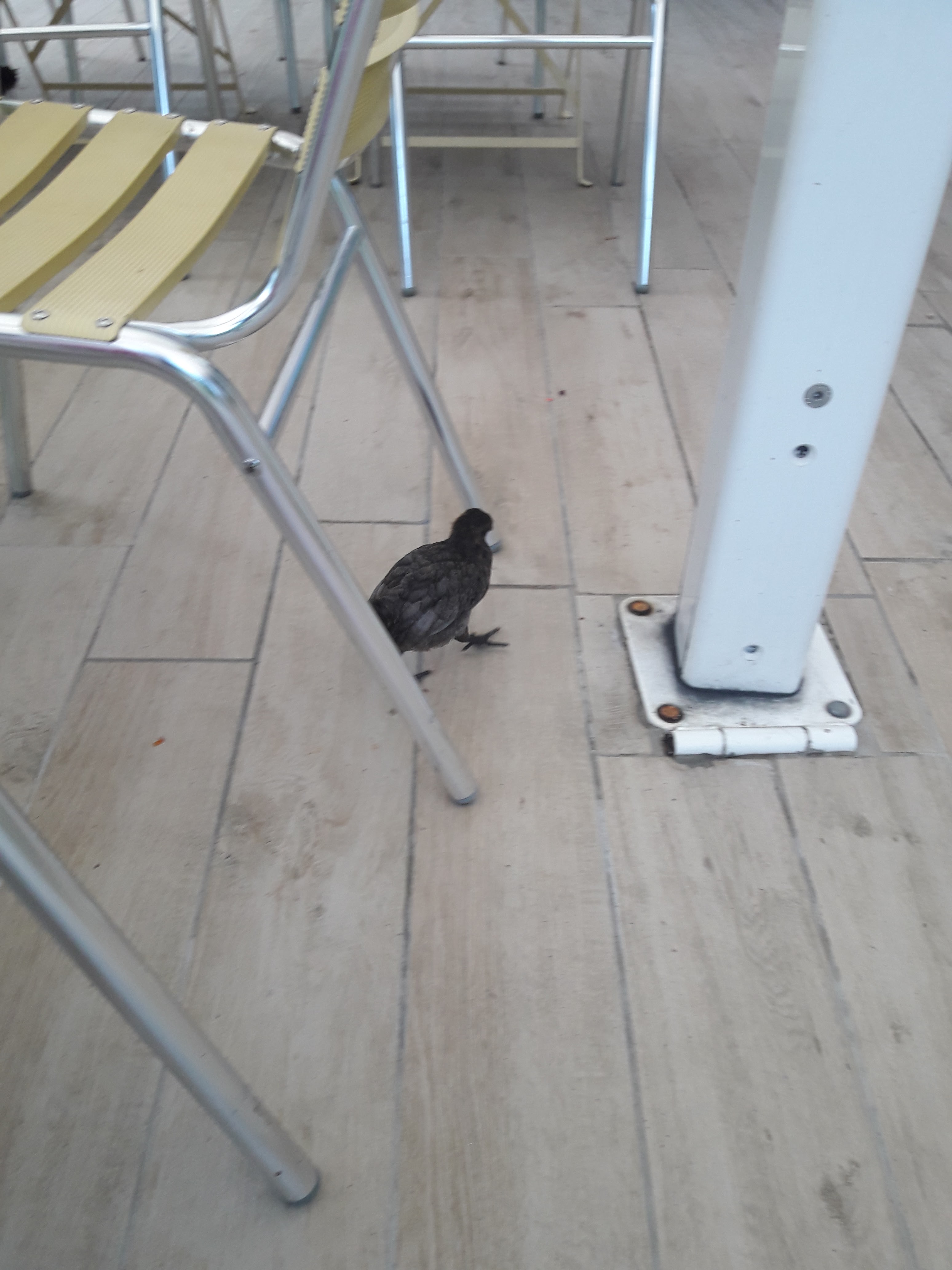 Photo n° 4 de l'avis de Olivier.u fait le 28/07/2019 à 19:48