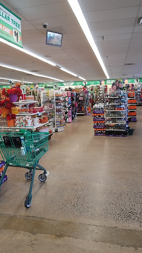 Dollar Store «Dollar Tree», reviews and photos, 101 Washington Square Plaza, Fredericksburg, VA 22405, USA