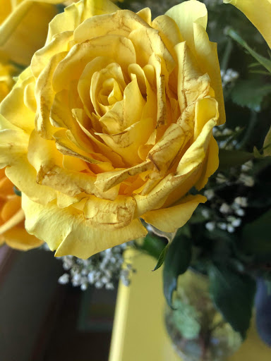 Florist «Flower Basket», reviews and photos, 302 N Lake St, Aurora, IL 60506, USA