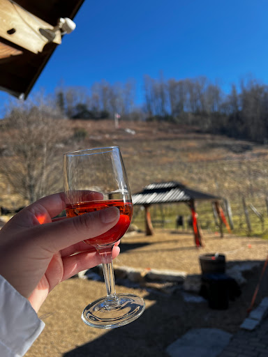 Vineyard «Grandfather Vineyard & Winery», reviews and photos, 225 Vineyard Ln, Banner Elk, NC 28604, USA