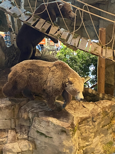 Sporting Goods Store «Bass Pro Shops», reviews and photos, 6425 Daniel Burnham Dr, Portage, IN 46368, USA