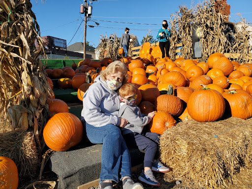 Garden Center «Nalls Produce», reviews and photos, 7310 Beulah St, Alexandria, VA 22315, USA