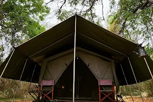 Mahoora Tented Safari Camps image