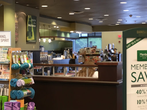 Book Store «Barnes & Noble», reviews and photos, 20600 N Rand Rd, Deer Park, IL 60010, USA