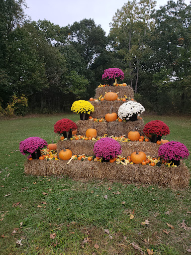 Tourist Attraction «Crossroads Village & Huckleberry Railroad», reviews and photos, 6140 Bray Road, Flint, MI 48505, USA