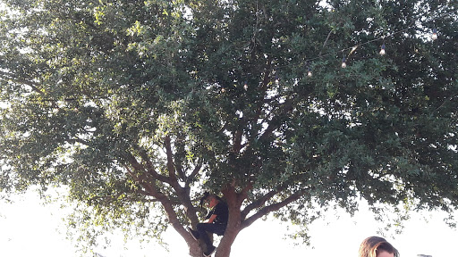 Park «Metropolitan Park», reviews and photos, 1410 Gator Bowl Blvd, Jacksonville, FL 32202, USA