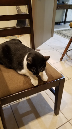 Auto Body Shop «Choice Collision Center», reviews and photos, 237 Oregon St, Mercersburg, PA 17236, USA