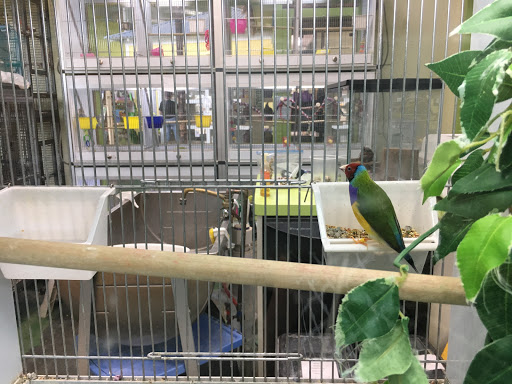 Pet Store «Animart», reviews and photos, 4303 E Towne Way, Madison, WI 53704, USA