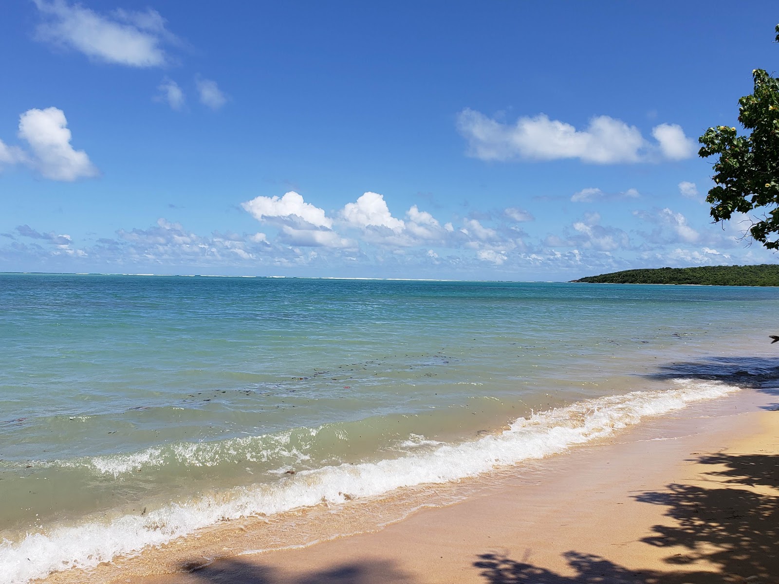 Foto de Playa La Pocita de Mimosa com reto e longo