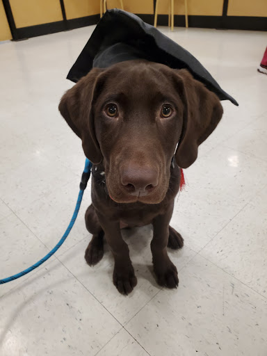 Pet Supply Store «PetSmart», reviews and photos, 1125 Hover St, Longmont, CO 80501, USA