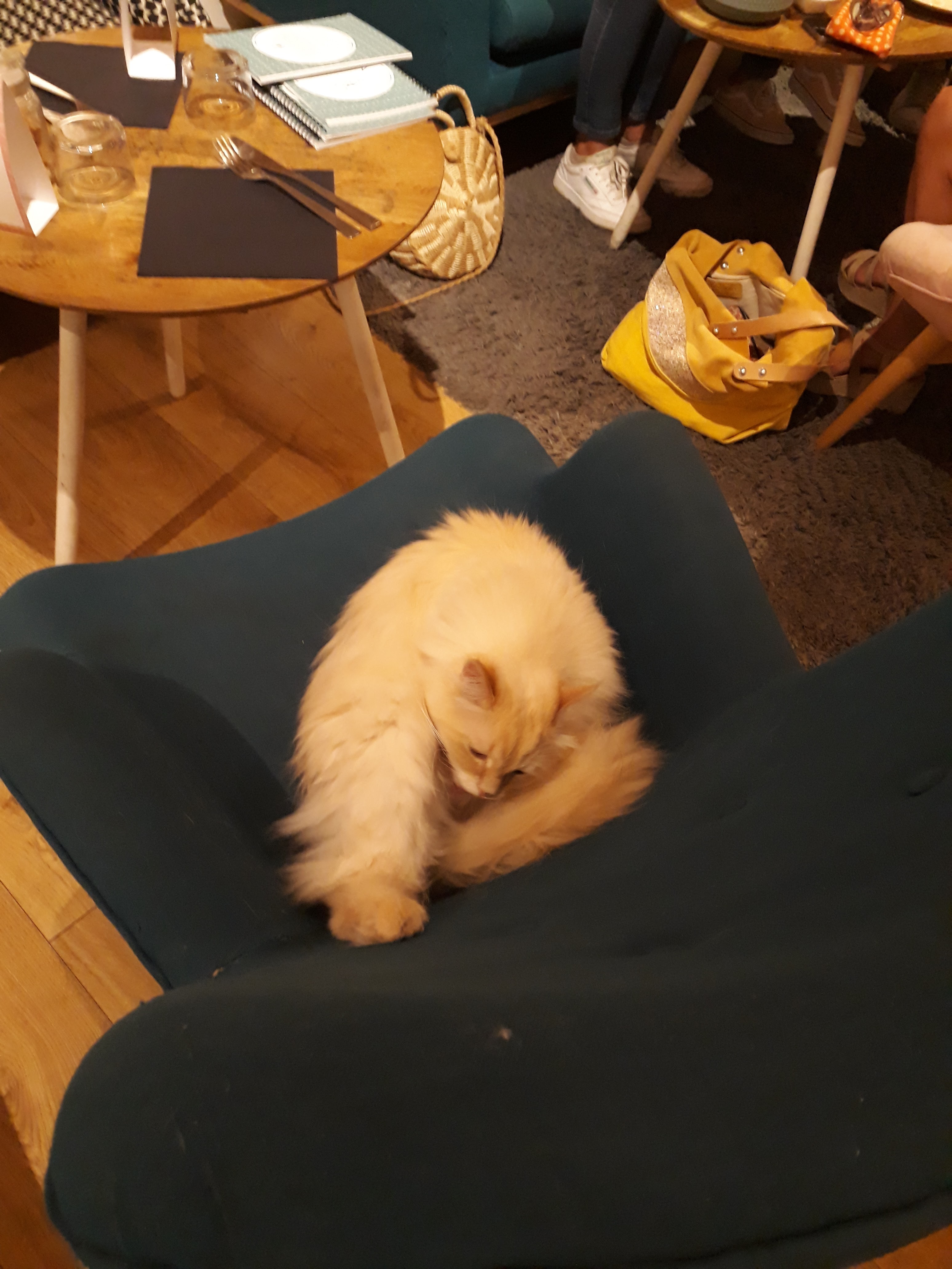 Photo n° 1 de l'avis de Louna.a fait le 02/09/2018 à 08:06
