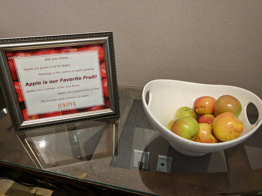 Hotel «Juniper Hotel Cupertino, Curio Collection by Hilton», reviews and photos, 10050 S De Anza Blvd, Cupertino, CA 95014, USA