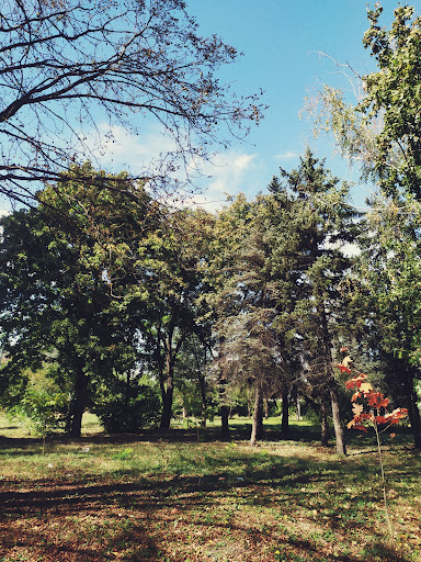 Парк Марьинка