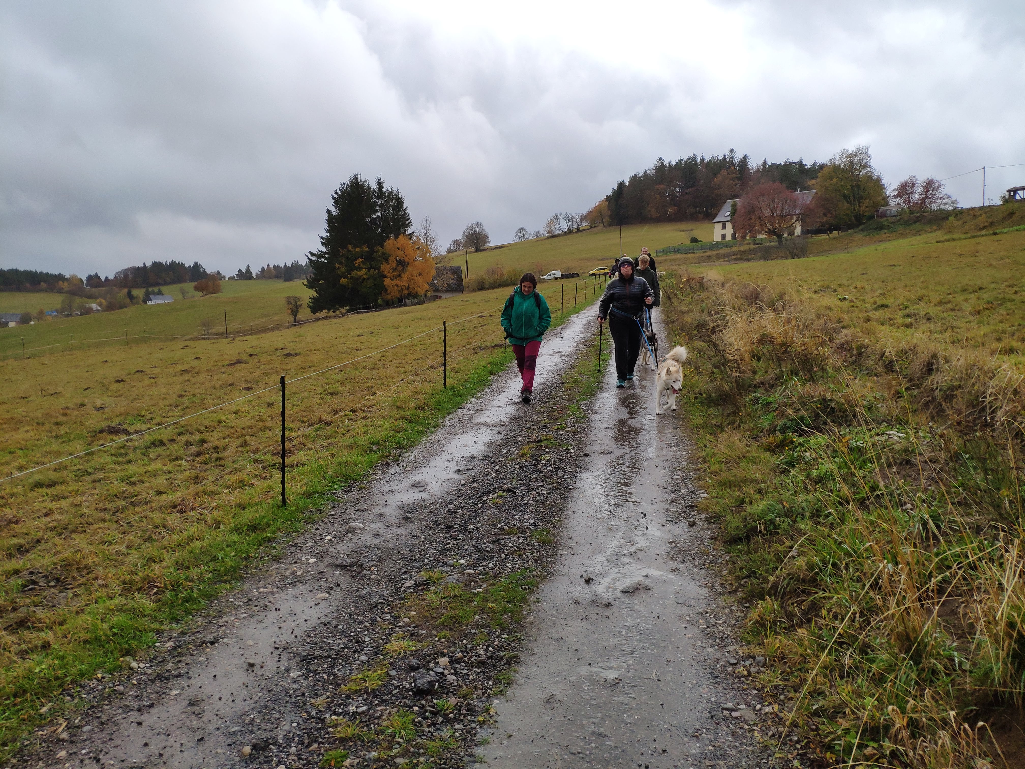 Photo n° 1 de l'avis de Bernard.o fait le 01/11/2020 à 10:42