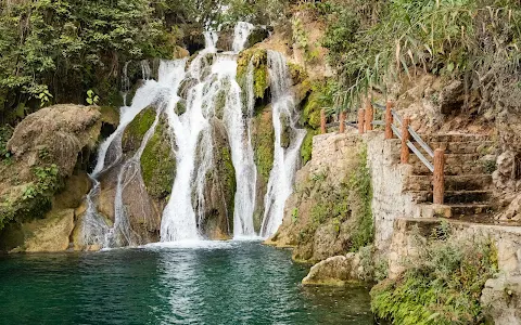 Cascadas de Tamasopo image