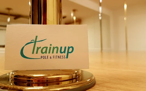 Trainup pole & fitness image