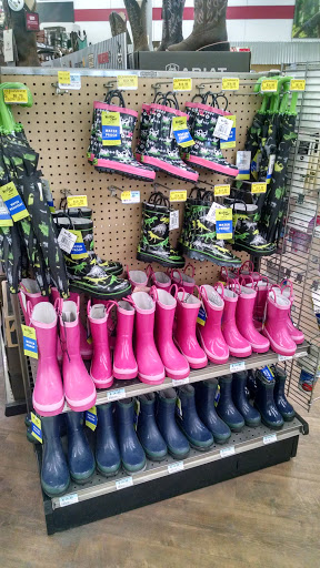 Home Improvement Store «Tractor Supply Co.», reviews and photos, 609 N Dupont Blvd, Milford, DE 19963, USA