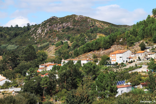 Protectora de gatos y perros de Ourense - Ourense