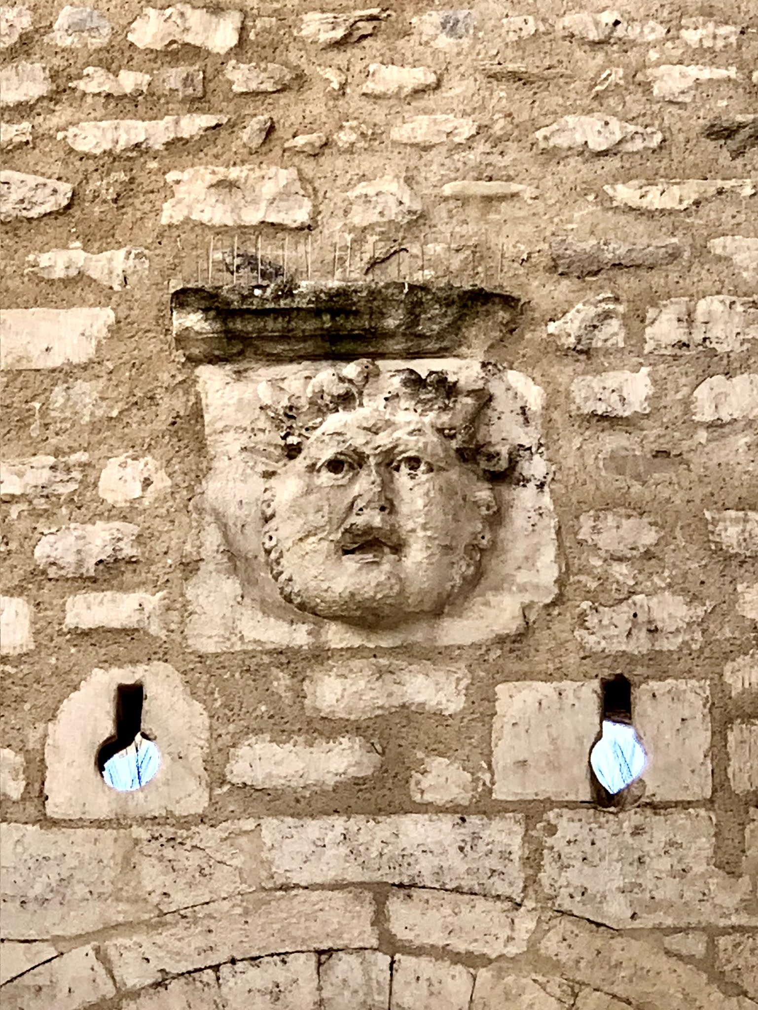 Photo n° 2 de l'avis de Fennec.l fait le 23/02/2021 à 22:22